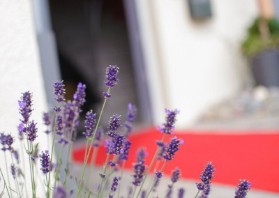 Eingang zum Naturfriseur mit blühendem Lavendel